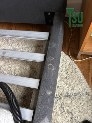 TSU Cleaning extraction hose working across a high-pile light-colored rug during a fiber-matched clean
