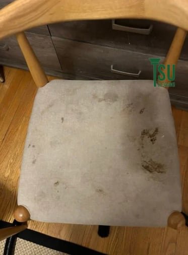 Light fabric dining chair seat before cleaning, soiled across the front edge